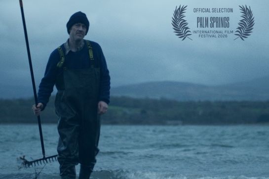 Ots Palm Springs Web2